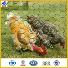 Fio da galinha / rede do Hex (HPZS-1008)
